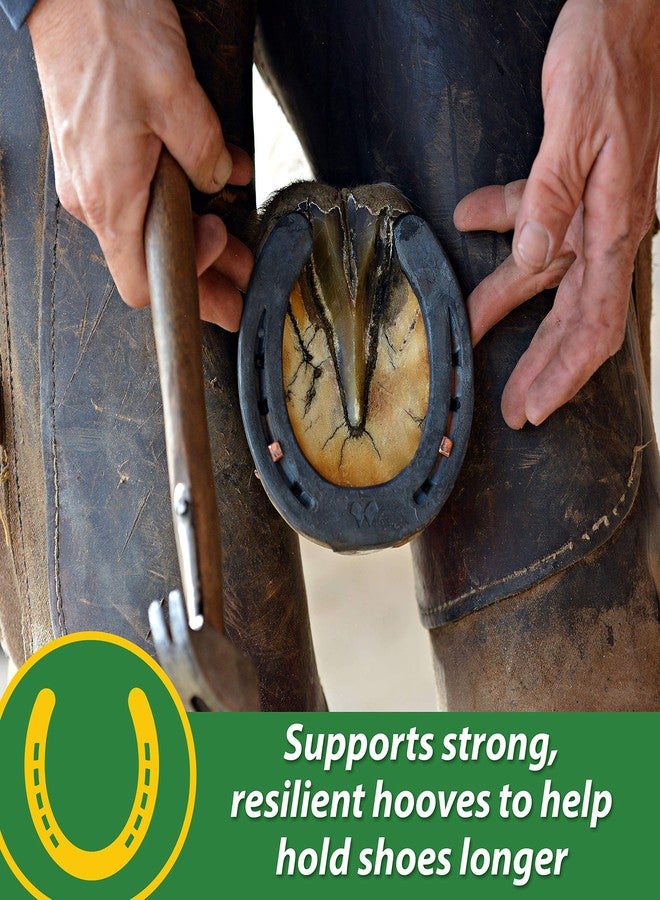 Farnam HB 15 Hoof Supplement, Supports healthy hoof growth 3 pound, 48 Day Supply - Image 3